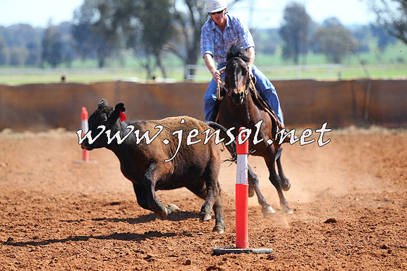 IllaboCampdraft2014_0205