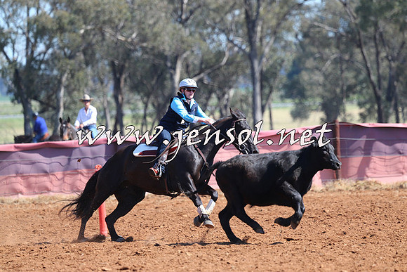 IllaboCampdraft2014_0163