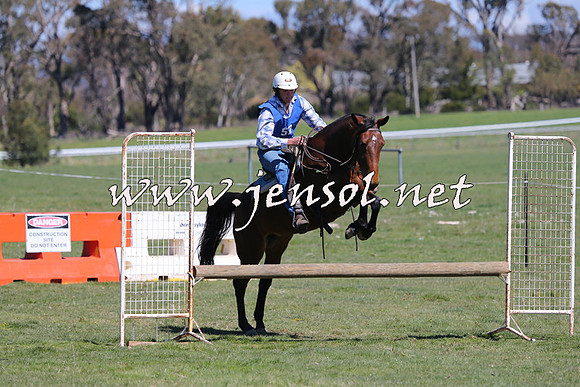 TumbarumbaStockmensChallenge_0106
