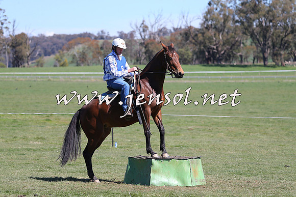 TumbarumbaStockmensChallenge_0093
