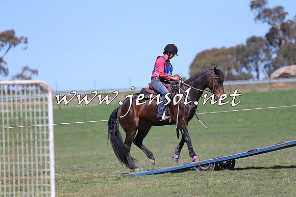 TumbarumbaStockmensChallenge_0147