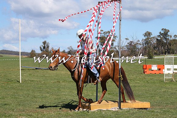 TumbarumbaStockmensChallenge_0054