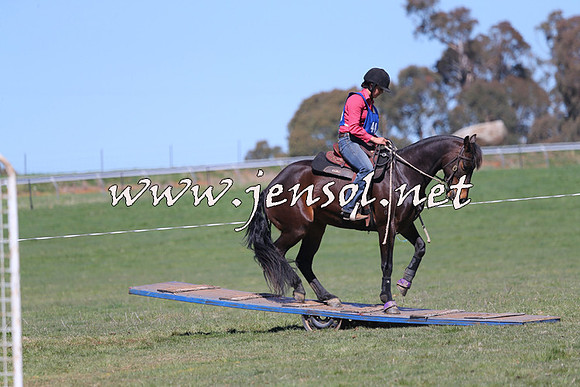 TumbarumbaStockmensChallenge_0150