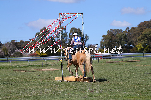 TumbarumbaStockmensChallenge_0202