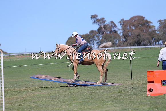 TumbarumbaStockmensChallenge_0192