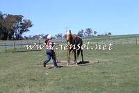 TumbarumbaStockmensChallenge_0079