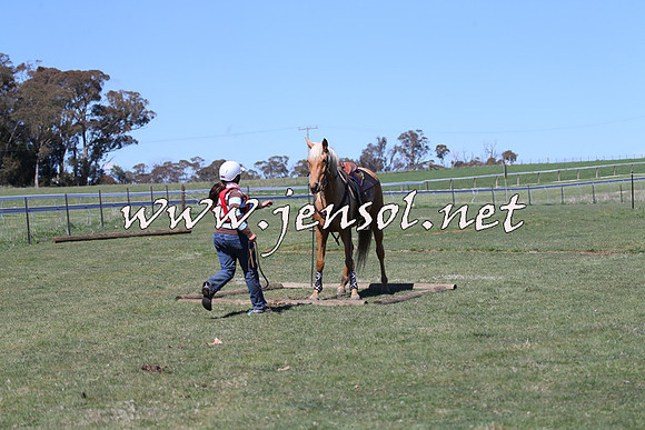 TumbarumbaStockmensChallenge_0079