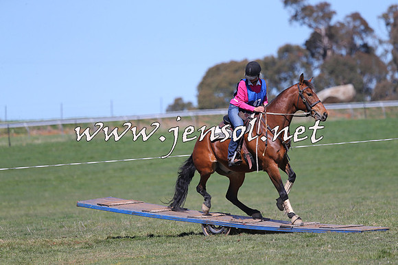 TumbarumbaStockmensChallenge_0160