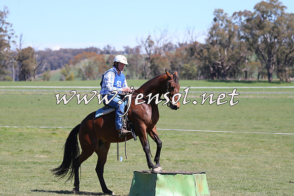 TumbarumbaStockmensChallenge_0098