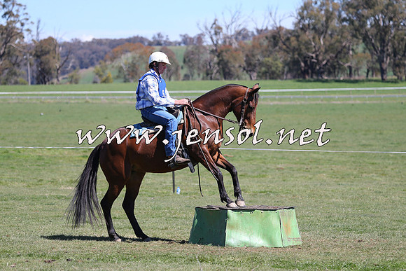 TumbarumbaStockmensChallenge_0091