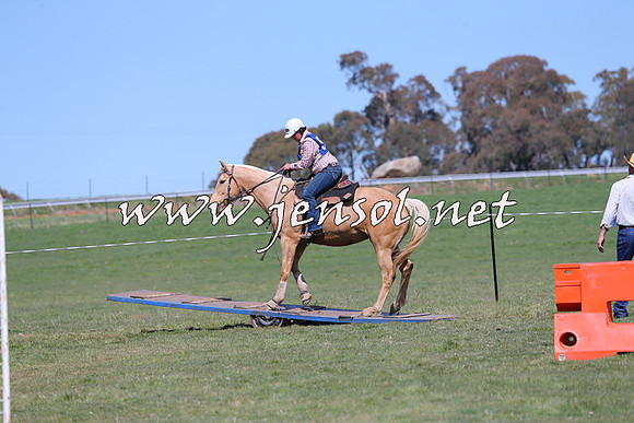 TumbarumbaStockmensChallenge_0191