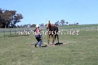 TumbarumbaStockmensChallenge_0078