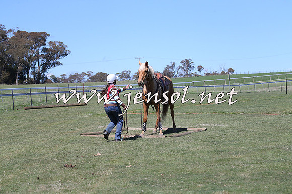 TumbarumbaStockmensChallenge_0078