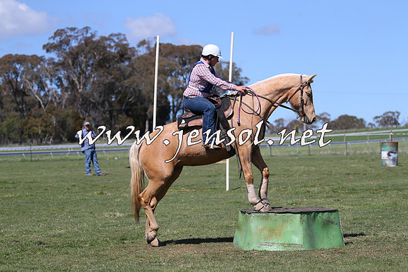 TumbarumbaStockmensChallenge_0178