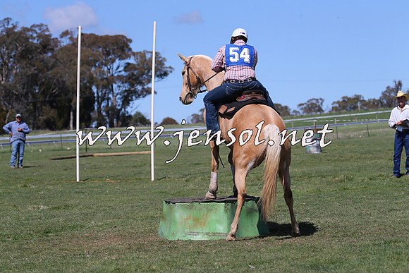 TumbarumbaStockmensChallenge_0184