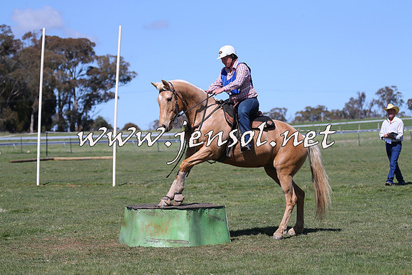 TumbarumbaStockmensChallenge_0175