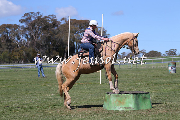 TumbarumbaStockmensChallenge_0179