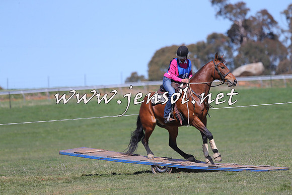 TumbarumbaStockmensChallenge_0159