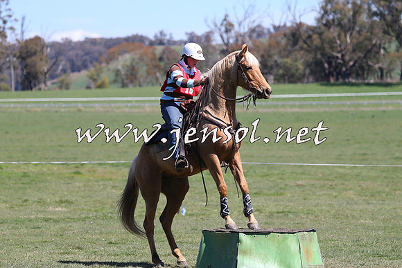 TumbarumbaStockmensChallenge_0062