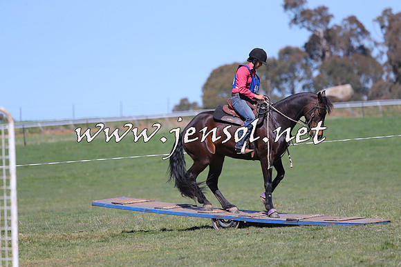 TumbarumbaStockmensChallenge_0152