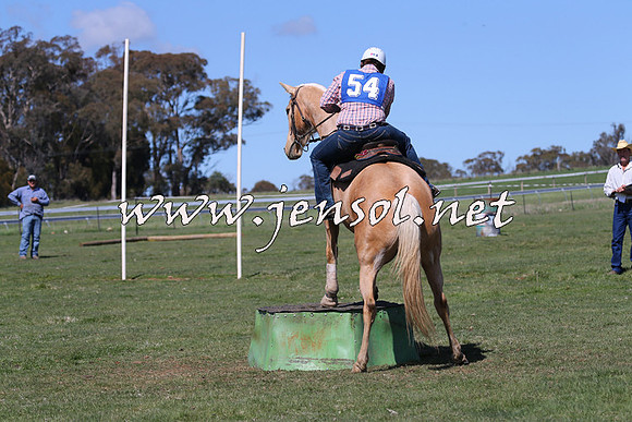 TumbarumbaStockmensChallenge_0185