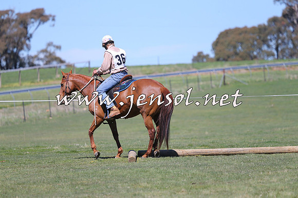 TumbarumbaStockmensChallenge_0037