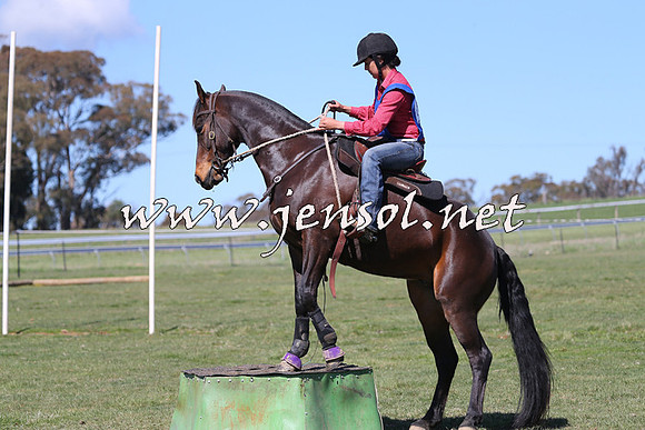 TumbarumbaStockmensChallenge_0138