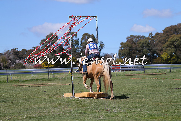 TumbarumbaStockmensChallenge_0204