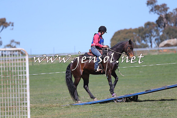 TumbarumbaStockmensChallenge_0148