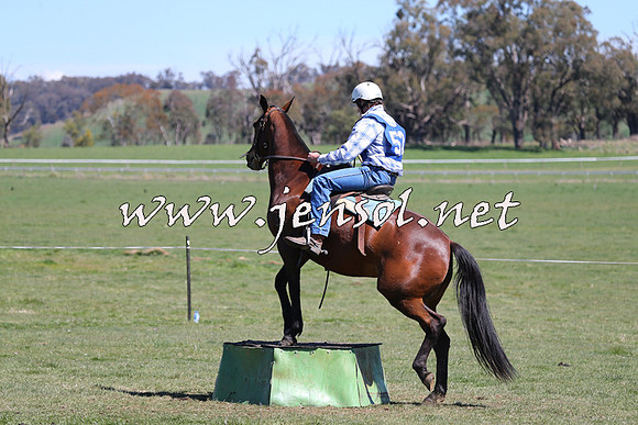 TumbarumbaStockmensChallenge_0096