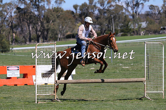 TumbarumbaStockmensChallenge_0049