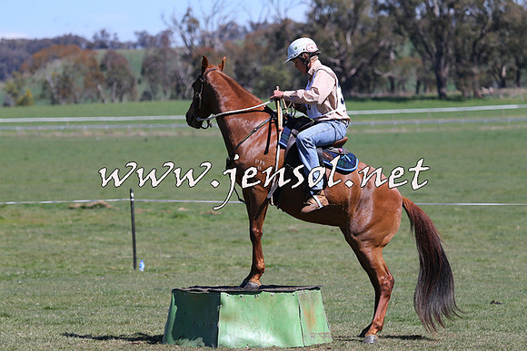TumbarumbaStockmensChallenge_0042
