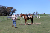 TumbarumbaStockmensChallenge_0056