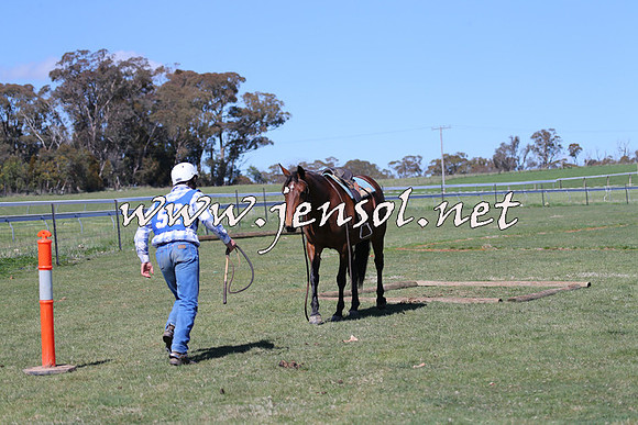 TumbarumbaStockmensChallenge_0120