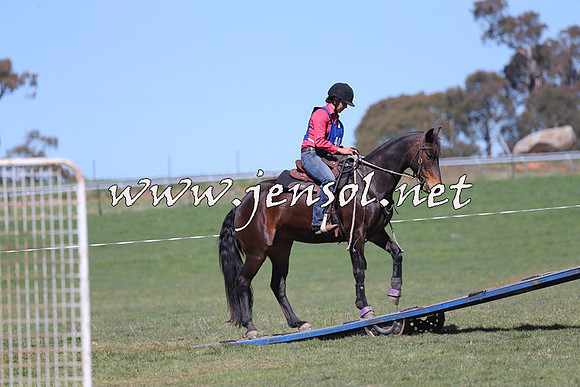 TumbarumbaStockmensChallenge_0151