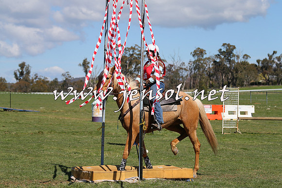 TumbarumbaStockmensChallenge_0075