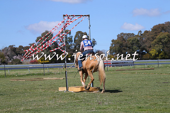 TumbarumbaStockmensChallenge_0203