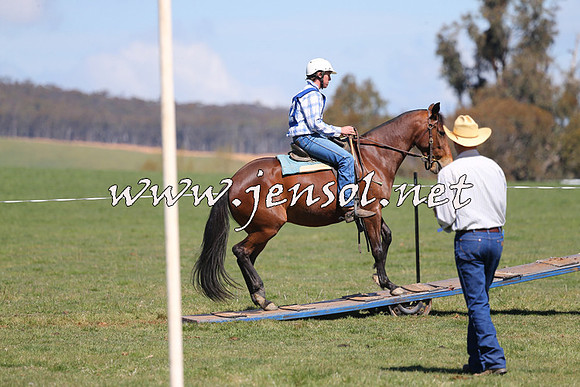 TumbarumbaStockmensChallenge_0101