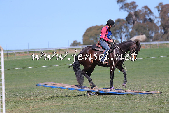 TumbarumbaStockmensChallenge_0149