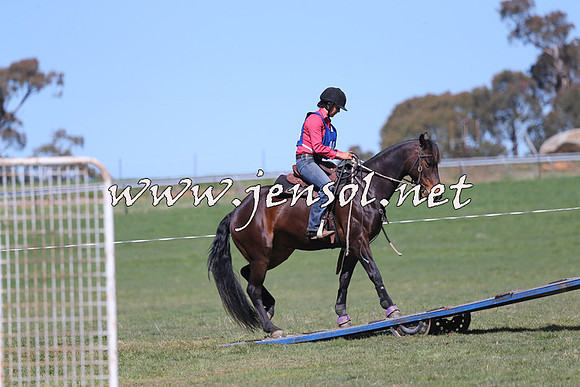 TumbarumbaStockmensChallenge_0153