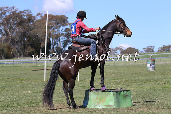 TumbarumbaStockmensChallenge_0144