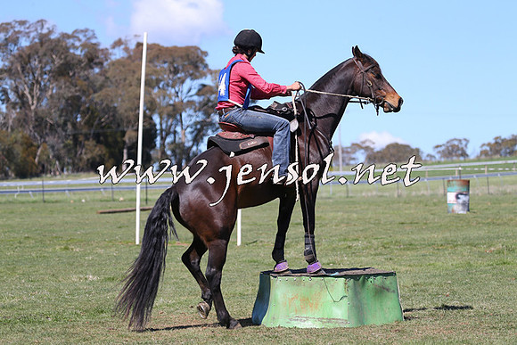 TumbarumbaStockmensChallenge_0145