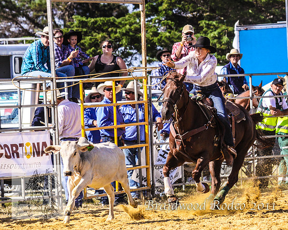 Braidwood1_0412