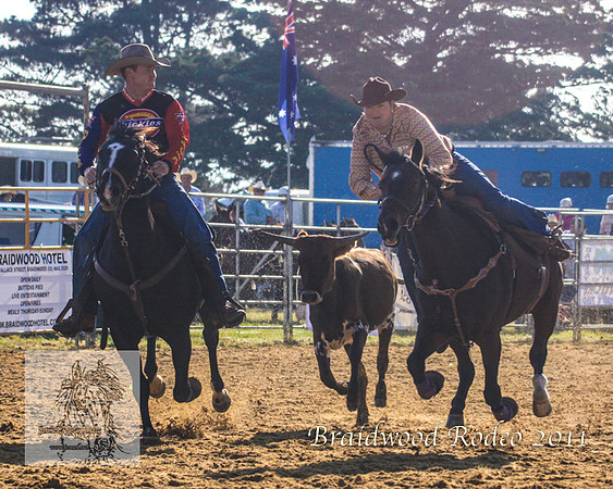 Braidwood1_2305