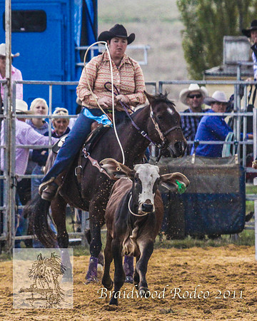 Braidwood1_2612