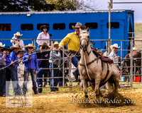 Braidwood1_0224