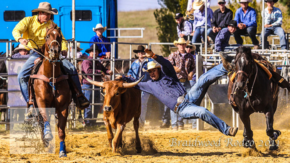 Braidwood1_0573