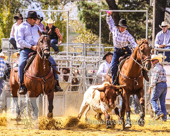 Braidwood1_0135