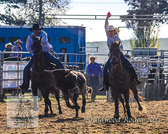 Braidwood1_2315