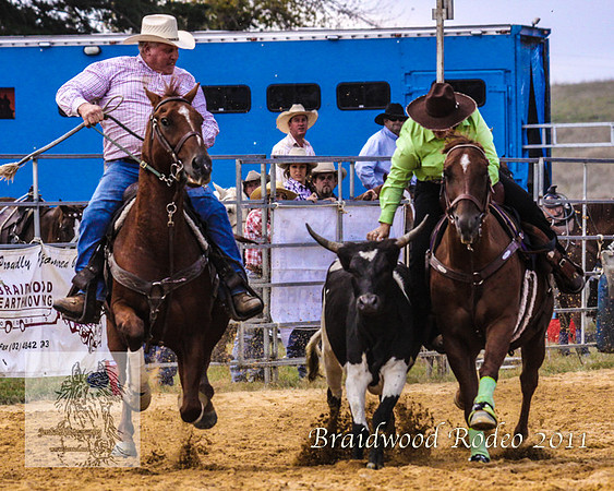 Braidwood1_0110
